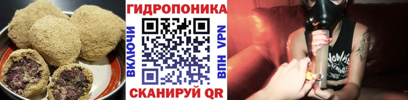 Cannafood конопля  Купить где  Инта 