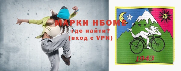 тгк Инсар