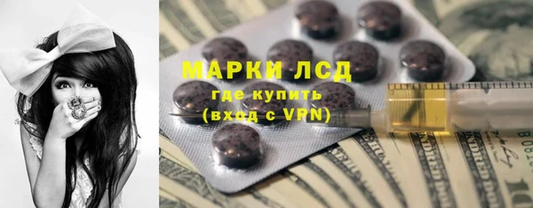 тгк Инсар