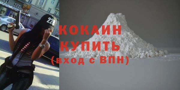 тгк Инсар