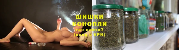 дмт Инта