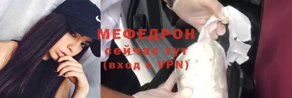 тгк Инсар