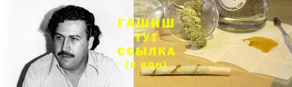 дмт Инта
