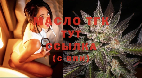 дмт Инта