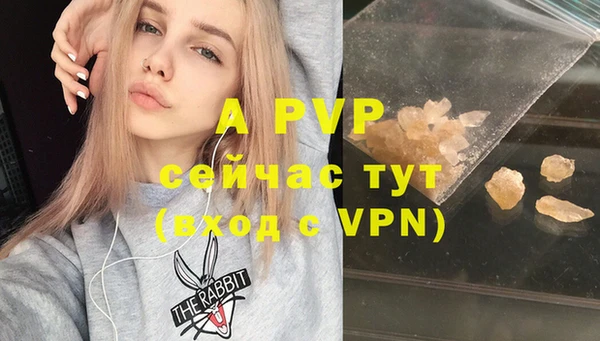 тгк Инсар