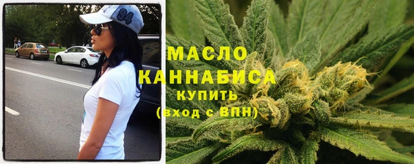 тгк Инсар