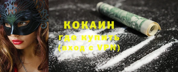 дмт Инта