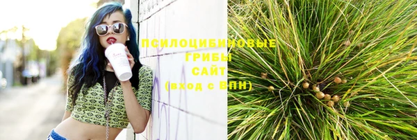 дмт Инта