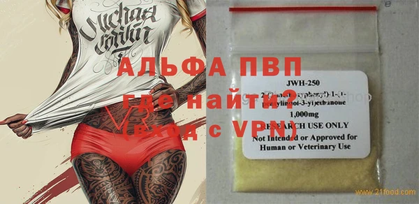 тгк Инсар