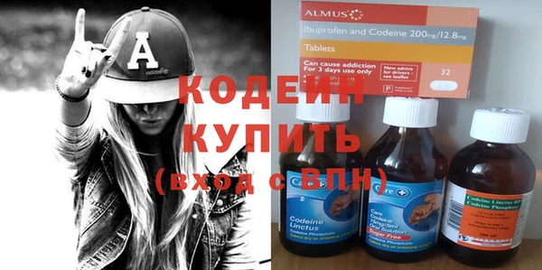 тгк Инсар