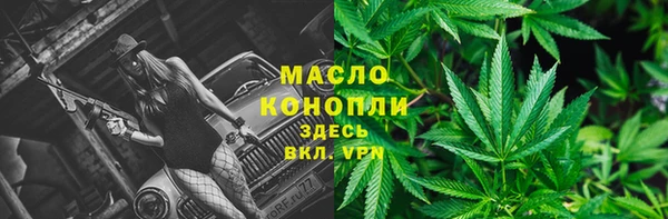дмт Инта