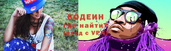 тгк Инсар