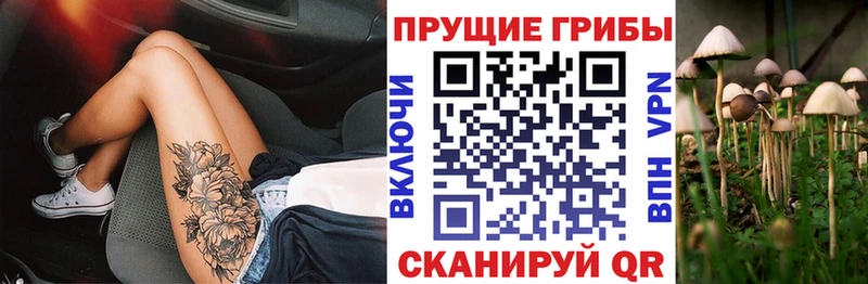 Псилоцибиновые грибы MAGIC MUSHROOMS  Купить где  Инта 
