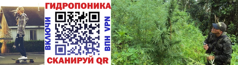 Бошки Шишки Amnesia  Купить где  Инта 
